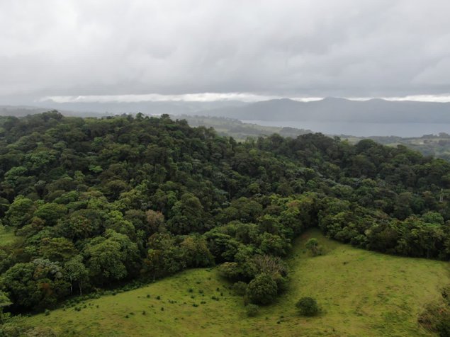 6 HECTAREAS EN NUEVO ARENAL DE TILARAN in Arenal, Tilarán, Guanacaste — ₡ 120 000 000 - Photo 3 of 8