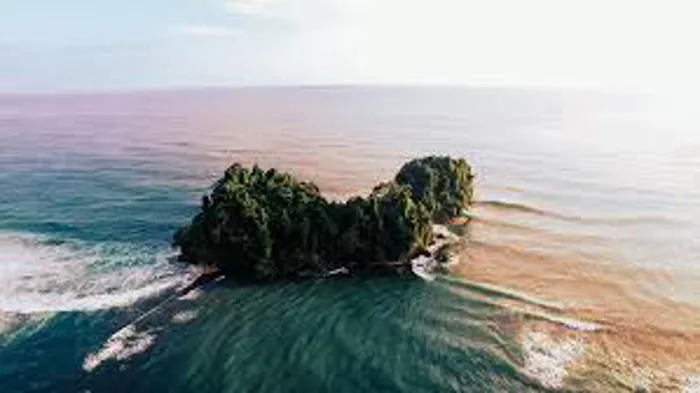 GRAN TERRENO ECOLOGICO PUNTA MONA, GANDOCA MANZANILLO en Limón — $700,000
