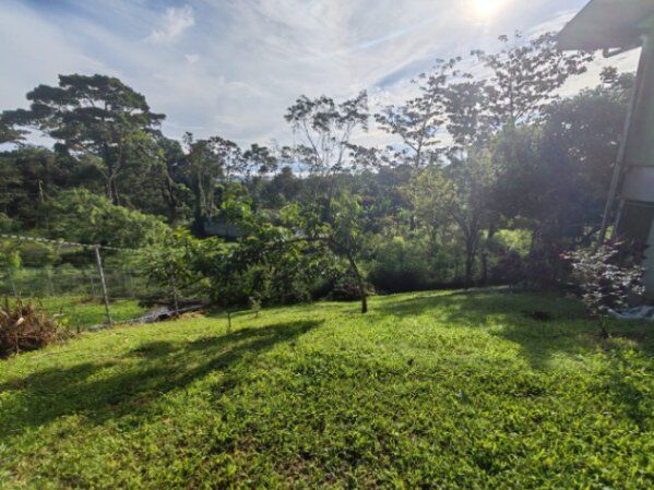 SE VENDE LOTE CON CASA EN SAN JUAN en Peñas Blancas, San Ramón, Alajuela — ₡ 40 000 000