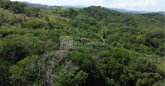 Finca de 50.9Ha en Venta – El Salvador, Piedades Sur, San Ramón in Piedades Sur, San Ramón, Alajuela — ₡ 420 000 000 - Photo 2 of 10