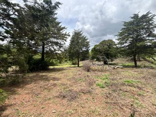 VENTA DE LOTE DE 11.310 m² EN LOS ÁNGELES, SAN RAFAEL DE HEREDIA in Ángeles, San Rafael, Heredia — $339,300 - Photo 4 of 6