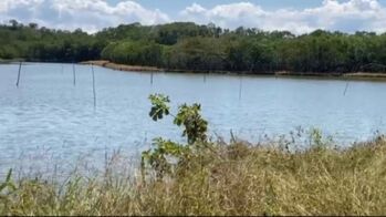 SE VENDE BELLA PROPIEDAD CON CAMARONERA INCLUIDA.  en Colorado, Abangares, Guanacaste — 70 000 000 ₡ - Foto 4 de 10