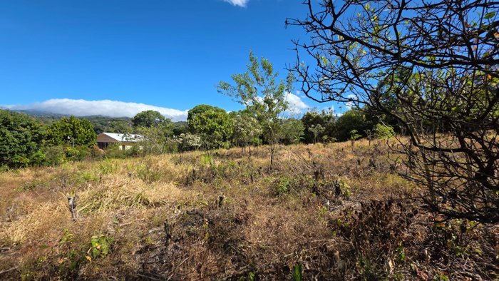 Land For Sale In Los Ángeles, Grecia Costa Rica – Flat Lot in San José, Grecia, Alajuela — ₡ 75 000 000 - Photo 3 of 7