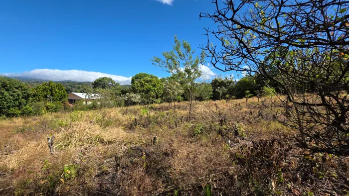 Land For Sale In Los Ángeles, Grecia Costa Rica – Flat Lot en San José, Grecia, Alajuela — ₡ 75 000 000 - Foto 3 de 7