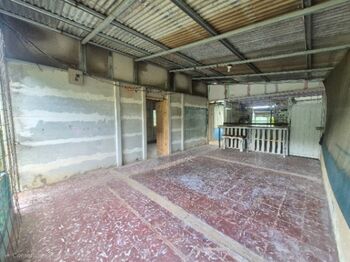 1/2 hectare en La Concepcion Platanares con luz y agua. en Platanares, Pérez Zeledón, San José — $30,000 - Foto 5 de 10