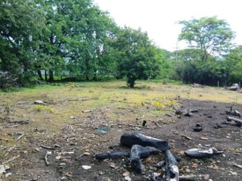 Venta de Lote con Uso de Suelo Mixto en Nicoya de Guanacaste.  in Nicoya, Guanacaste — $235,000 - Photo 5 of 7