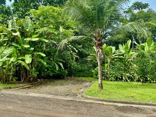 Lote en Venta en Plantation Acres – Tárcoles, Garabito, Puntarenas in Tárcoles, Garabito, Puntarenas — $250,000 - Photo 3 of 5