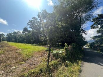 Farm For Sale La Fortuna, San Carlos, Alajuela