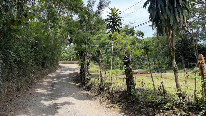 Se vende espectacular finca de 44.765 m2 en Ciudad Colón (FE). en Colón, Mora, San José — ₡ 700 000 000 - Foto 3 de 28