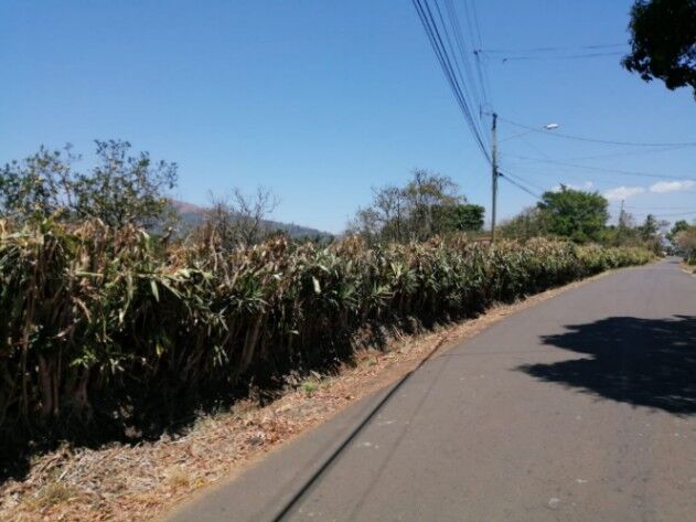 3 Ha PARA DESARROLLAR 57 LOTES en El Rosario, Naranjo, Alajuela — $750,000