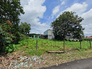 Se vende lote de 504 m2 ubicado en el centro de Guápiles. in Guápiles, Pococí, Limón — ₡ 38 000 000 - Photo 4 of 8