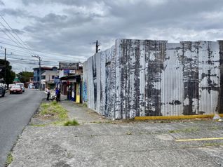 Venta lote en Guadalupe - Barrio San Gerardo - Uso mixto