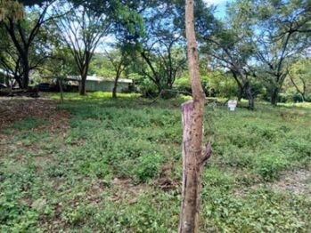 Venta de Lote en Carrillo, Guanacaste. RAH 26-1075 en Sardinal, Carrillo, Guanacaste — $45,000 - Foto 4 de 11