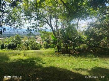 MLS-26-330 LS VENTA LOTE SAN ISIDRO GRECIA in San Isidro, Grecia, Alajuela — 155 000 000 ₡ - Photo 5 of 7