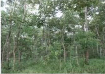 Venta de propiedad Garabito, Puntarenas en Jacó, Garabito, Puntarenas — $109,594 - Foto 3 de 5