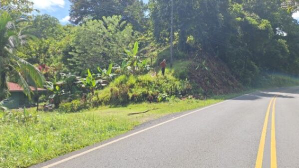 Se vende lote con casa villa Colon Osa  en Piedras Blancas, Osa, Puntarenas — ₡ 20 000 000