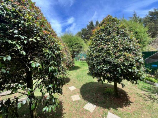 Venta de Cabaña en Dota- El Jardín, San José. en Jardín, Dota, San José — ₡ 75 000 000