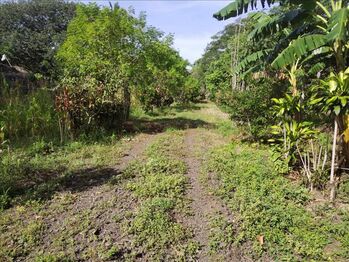 Finca en Venta Atenas, Atenas, Alajuela