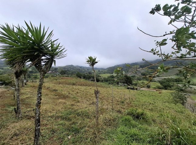 Se vende propiedad de 3.600 m2 in Piedades Norte, San Ramón, Alajuela — ₡ 50 000 000