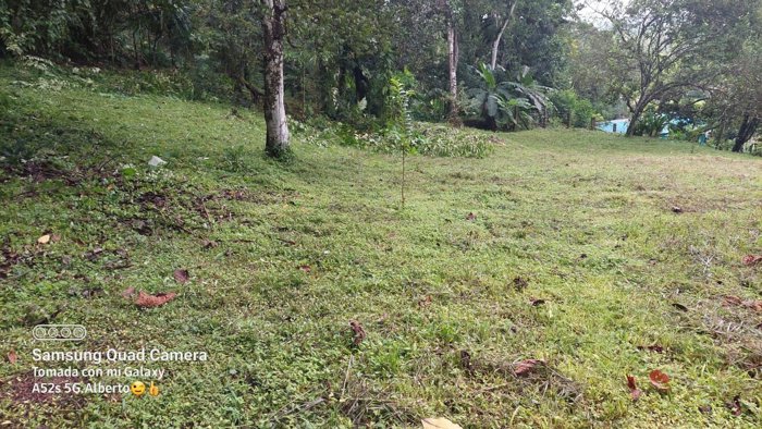 VENTA DE FINCA, PUNTARENAS, GOLFITO in Golfito, Puntarenas — $320,000