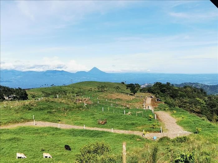 VENTA DE LOTES RESIDENCIALES, ALAJUELA, SAN CARLOS, CIUDAD QUESADA en Quesada, San Carlos, Alajuela — ₡ 39 000 000
