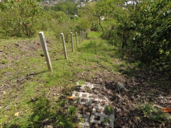 Se vende amplio lote de 8,400m2 en San Antonio Escazú 23-1473 en San Antonio, Escazú, San José — ₡ 416 500 000