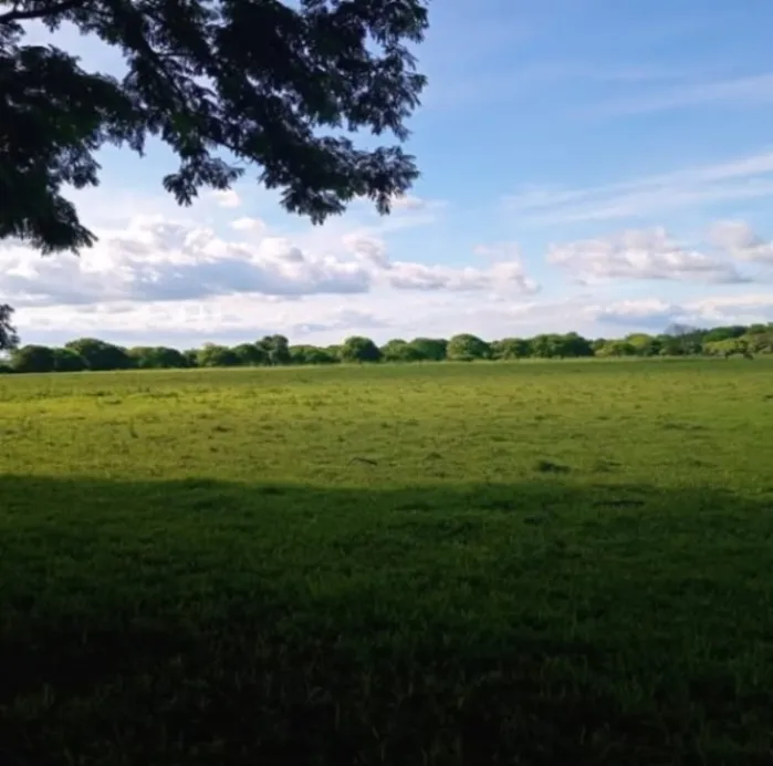 1 HECTAREA DE TERRENO EN STA CRUZ GUANACASTE in Santa Cruz, Guanacaste — ₡ 35 000 000