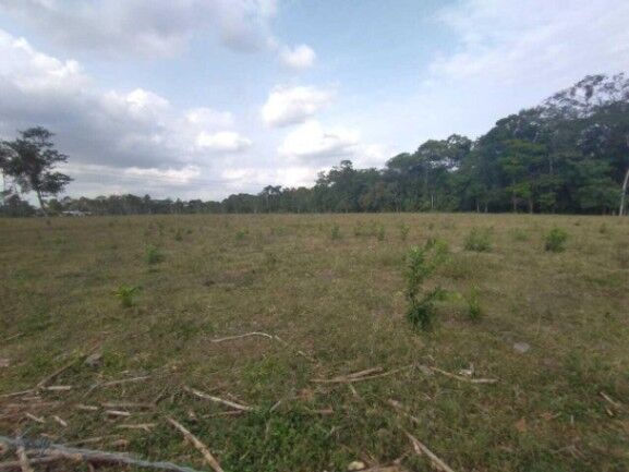 MLS-25-1083 VENTA LOTE FLORENCIA SAN CARLOS en Florencia, San Carlos, Alajuela — ₡ 175 000 000