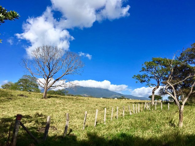 Finca en Guanacaste 5000 Ha mecanizada en Cañas, Guanacaste — $60,000,000 - Foto 3 de 7