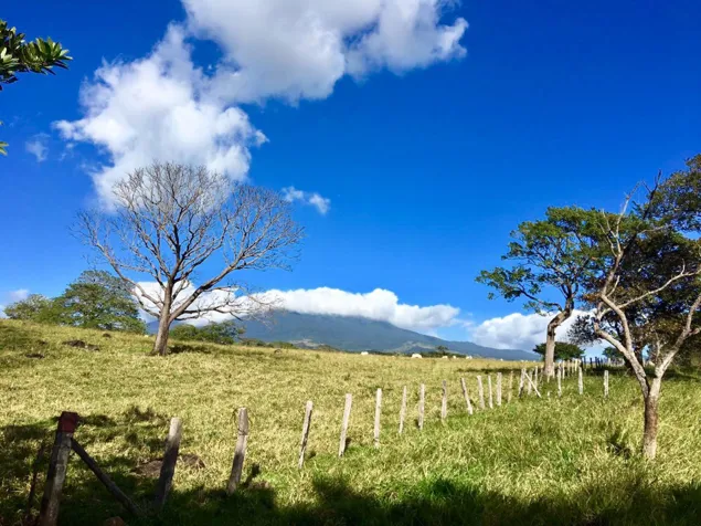 Finca en Guanacaste 5000 Ha mecanizada en Cañas, Guanacaste — $60,000,000 - Foto 3 de 7