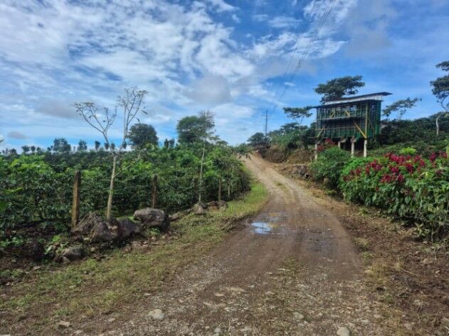 2.3 hectares de cafe Santa Elena, El General, Perez Zeledon in El General, Pérez Zeledón, San José — $350,000
