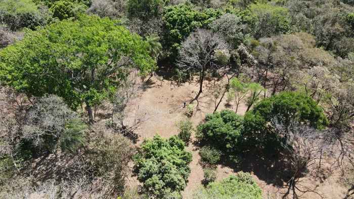 Lote de 2210m2 en San Mateo de Alajuela in Jesús María, San Mateo, Alajuela — ₡ 40 000 000 - Photo 3 of 11