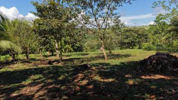 VENTA DE CASA CON LOTE DE 3.494 M2 EN TRES RIOS DE VOLCAN, BUENOS AIRES DE PUNTARENAS en Volcán, Buenos Aires, Puntarenas — $95,000 - Foto 4 de 24
