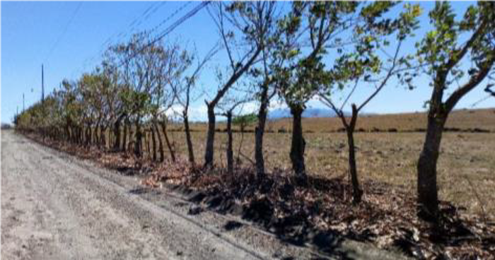 TERRENO PARA DESARROLLO EN REMATE BANCARIO CON EXCELENTE UBICACIÓN en Garita, Alajuela — $142,855 - Foto 3 de 5