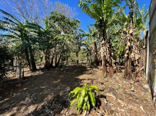Terreno listo para construir en San Juan de Santa Barbara en San Juan, Santa Bárbara, Heredia — 49 000 000 ₡ - Foto 4 de 9