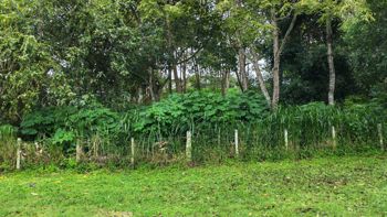 Lote en Venta, en Montes de Oca, San Rafael,Desarrollo,Cuatro Pisos. en San Rafael, Montes De Oca, San José — $2,022,240 - Foto 3 de 28