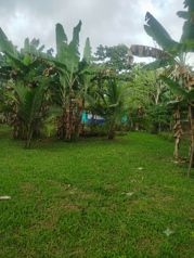 VENTA - Finca de 2.1 Ha con 2 Casas - La Naranjeña- Guatuso - EN SERVIDUMBRE in Katira, Guatuso, Alajuela — 65 000 000 ₡ - Photo 2 of 9