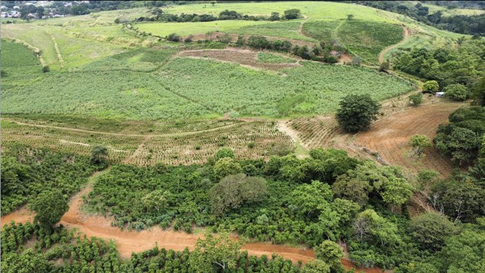 Farm in Tacares de Grecia: An Opportunity to Develop in Mercedes, Atenas, Alajuela — ₡ 600 000 000 - Photo 2 of 15