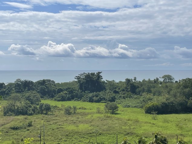 VENTA DE FINCA CON VISTAS AL OCEANO PACIFICO ESTERILLOS, Cod. GU1124 en Parrita, Puntarenas — $475,000 - Foto 2 de 22