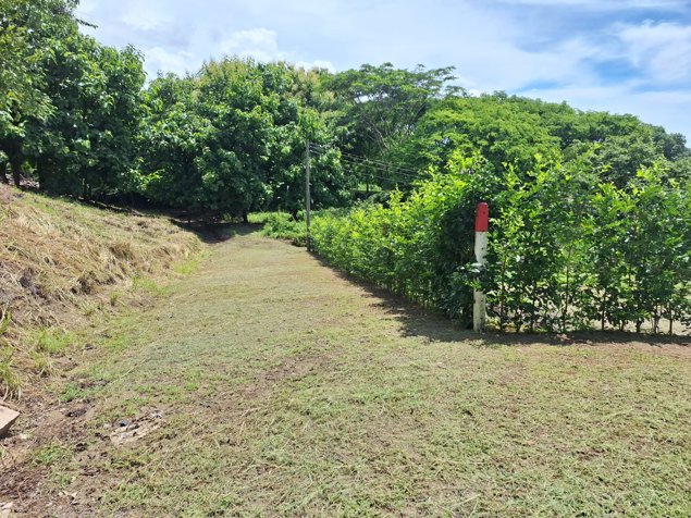 Lot for Sale in Playa Naranjo – Just 300 Meters with Ocean View in Lepanto, Puntarenas — $140,000 - Photo 3 of 10