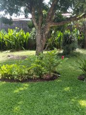 Terreno con Potencial Comercial y Residencial en San Rafael de Heredia en San Josecito, San Rafael, Heredia — 250 000 000 ₡ - Foto 3 de 12