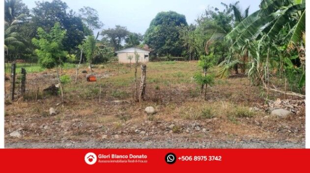 🌿 ¡Lote en San Isidro de Peñas Blancas, San Ramón! en Peñas Blancas, San Ramón, Alajuela — $26,000