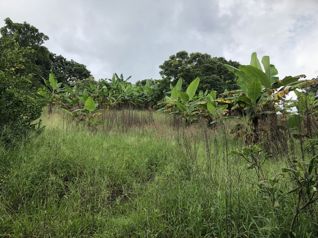 Venta de lote comercial, 6760 metros, en San Roque, Grecia in San Roque, Grecia, Alajuela — $675,000 - Photo 5 of 37