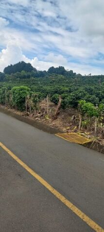 SE VENDE ESPECTACULAR FINCA EN SAN RAFAEL DE HEREDIA.  en Concepción, San Rafael, Heredia — ₡ 13 000