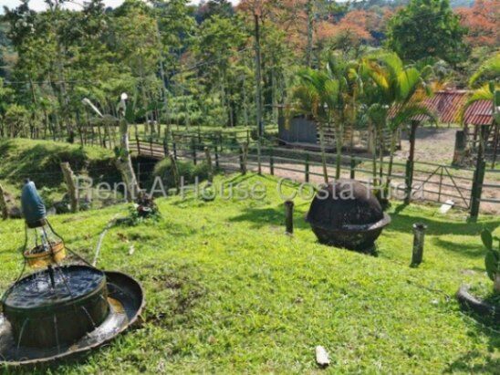 MLS-26-1444 LS VENTA FINCA MURCIA TURRIALBA CONTACTENOS AL # 86127562 en Turrialba, Cartago — ₡ 700 000 000