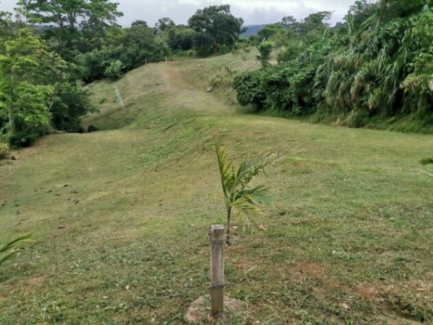SE VENDE BELLA PROPIEDAD EN ESQUIPULAS, PALMARES.  en Esquipulas, Palmares, Alajuela — ₡ 90 000 000