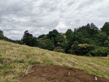 Se vende lote de 296m2 en Santo Domingo de Heredia 23-703 in Santo Domingo, Heredia — 42 000 000 ₡ - Photo 5 of 11