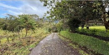 LOTE A LA VENTA EN SAN ISIDRO DE HEREDIA 7000 m² Uso Agroturístico en San José, San Isidro, Heredia — 162 000 000 ₡ - Foto 3 de 7