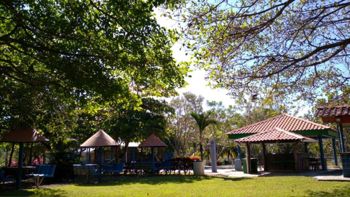 Finca de 2 hectáreas en Miramar de Puntarenas casa para 22 personas en Miramar, Montes De Oro, Puntarenas — 265 000 000 ₡ - Foto 5 de 25