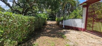 MLS-25-1948 LS VENTA LOTE LA CEIBA OROTINA in La Ceiba, Orotina, Alajuela — 45 000 000 ₡ - Photo 4 of 6